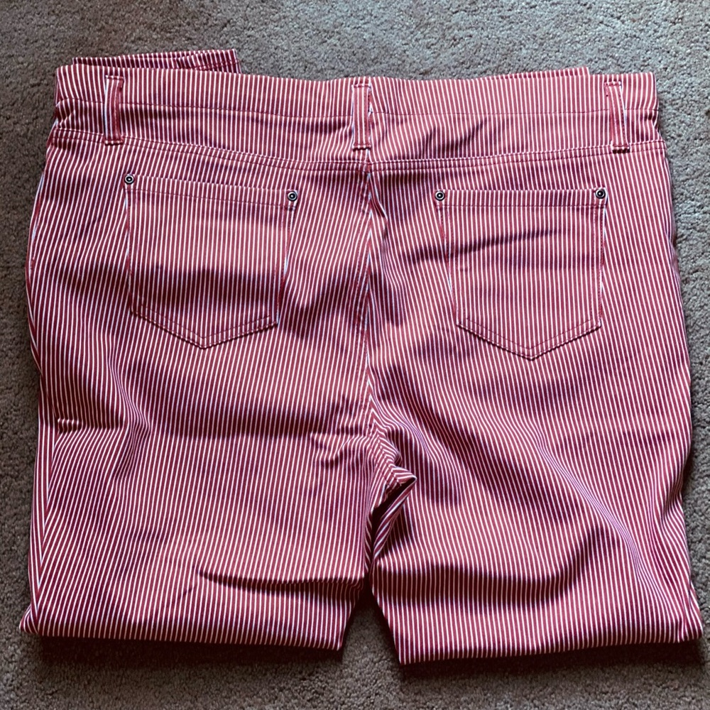 Orange Pin Striped Jeggings